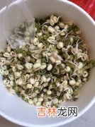 变绿的豆芽还能吃吗,豆芽长绿叶还能吃吗