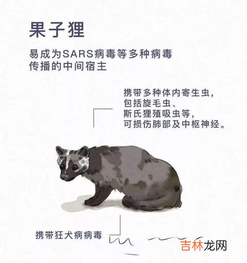 蝙蝠属于昆虫还是动物,蝙蝠是昆虫吗
