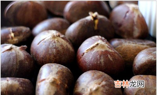 板栗要煮多久才能熟,栗子要煮多少分钟才能熟