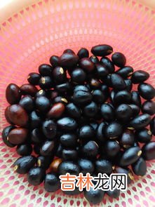 板栗要煮多久才能熟,栗子要煮多少分钟才能熟