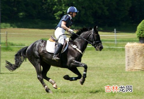 侏儒怎么读,侏儒米的读音侏儒米的读音是什么