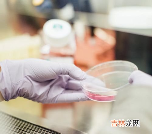 哪一种水果糖尿病人不宜吃,哪些水果是糖尿病人不能吃的？应该注意点啥？