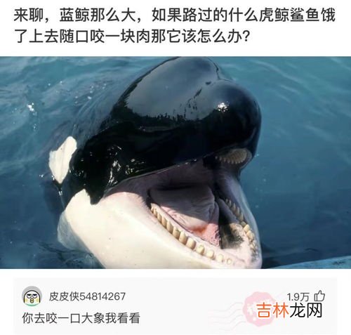 一包烟开了半年还能抽吗,烟打开了放的时间长还能抽吗