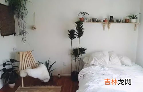 卧室内能养花吗,鲜花能放在卧室里吗？