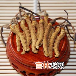 干虫草怎么保存效果最好呢,干的虫草如何保存?