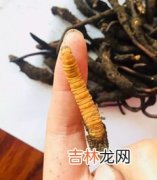 干虫草怎么保存效果最好呢,干的虫草如何保存？