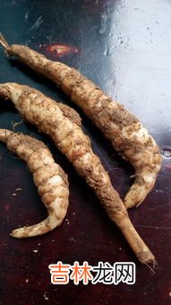 干虫草怎么保存效果最好呢,干的虫草如何保存?