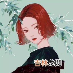 四次元是什么意思啊,四次元是什么意思