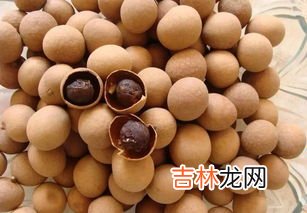 有哪种食物能补血,补血的食物有哪些 10种常见食物补血最好
