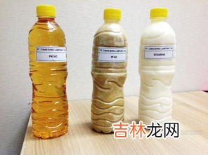 棕榈油是什么油呢,棕榈油是什么油?