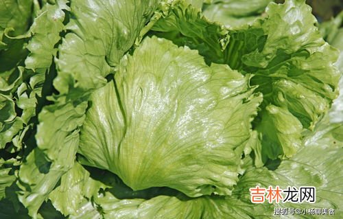 六种寓意好的蔬菜,蔬菜有什么寓意