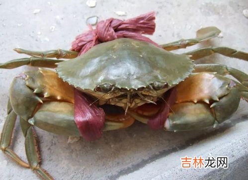 青蟹死了多久不能吃了,青蟹刚死2小时能吃吗 青蟹死了多久不能吃了