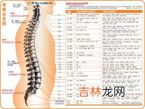 八正堂穴位压力有什么作用,人体穴位的位置和作用是什么？