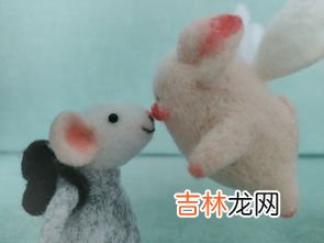 羊毛毡怎么做,你知道哪些关于玩羊毛毡的小技巧？