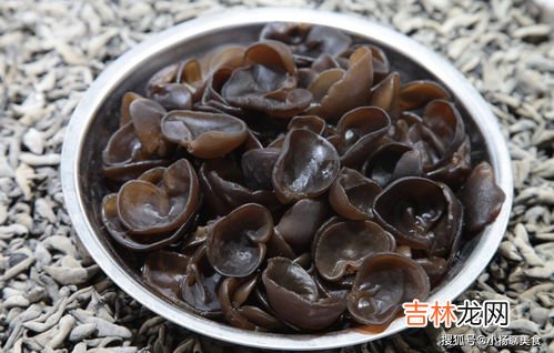 木耳泡了三天还能吃吗,泡发好的黑木耳放几天还能吃吗
