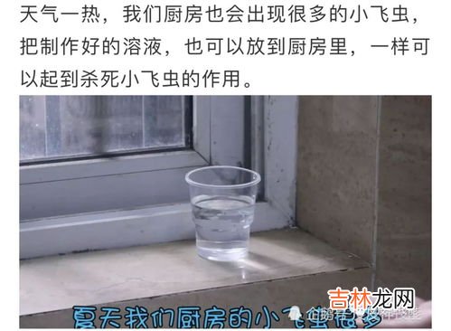 洗脸池下水道臭味怎么消除,洗脸池的下水往上反臭味怎么办