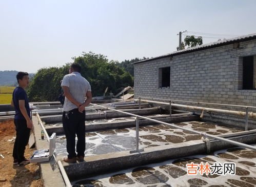 污水处理氨氮超标的处理方法,氨氮高了，怎么处理方法？