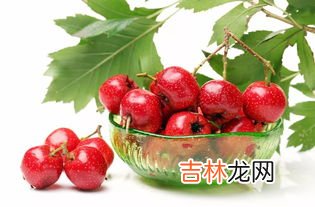 苹果山楂水的功效,苹果和山楂一起煮水喝有哪些营养价值？你有哪些知识能够分享？