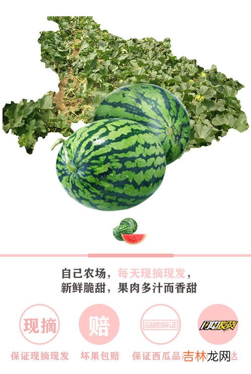 有机水果为什么卖的那么贵,水果行业利润到底有多高？为何我们买的水果这么贵？