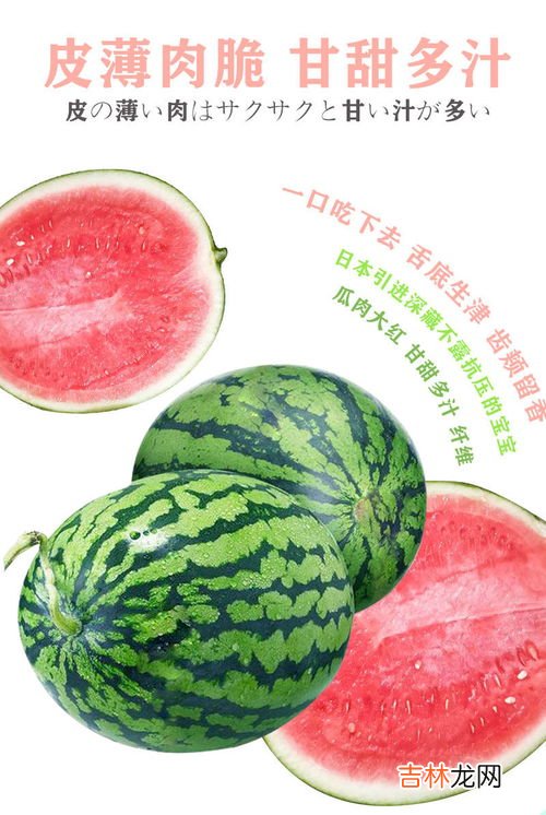 有机水果为什么卖的那么贵,水果行业利润到底有多高？为何我们买的水果这么贵？