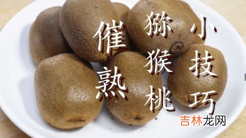 弥猴桃买回来硬的怎么催熟,猕猴桃最快催熟方法