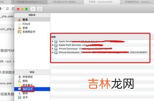 为什么qq空间发表的说说不显示,为什么QQ空间看不到自己发的说说?