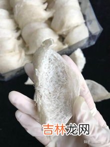 燕窝怎么挑选辨别真假,燕窝的真假辨别方法有哪些 从3个方面来辨别