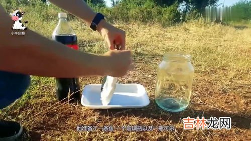 打开的可乐能放多少天,可乐开瓶后能放多久