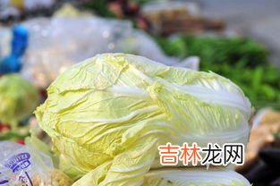 大白菜叶子边缘长黑点能吃吗,白菜叶上有黑点能吃吗 白菜叶上有黑点可以吃吗