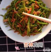 芦蒿的叶子能吃吗,芦蒿叶子也是营养食材