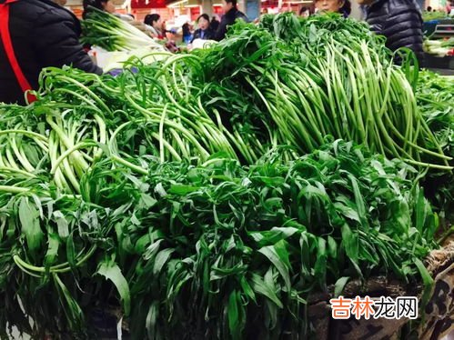 芦蒿的叶子能吃吗,芦蒿叶子也是营养食材