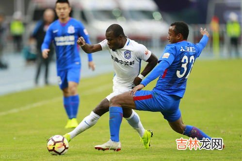 阿奇那塞斯黑什么意思,满语阿其那和塞斯黑什么意思?