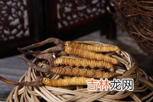 真正的冬虫夏草多少钱一克,冬虫夏草多少钱一盒？