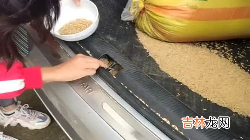刚买的羊蛋怎样清洗,羊蛋怎样清洗干净？