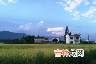稻子熟了是哪个季节,稻子什么季节成熟？