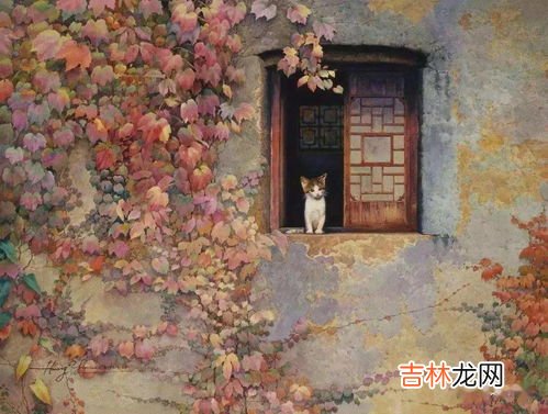 合欢树为什么叫鬼树,合欢树为什么叫鬼树