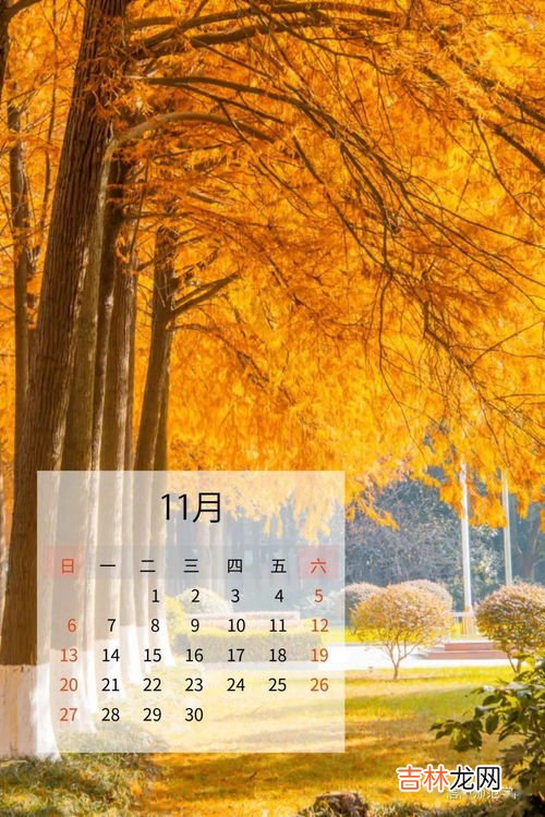 仲冬是几月,冬月是几月份的