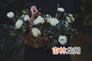 花间酒是什么,花间酒人间月讲的什么故事