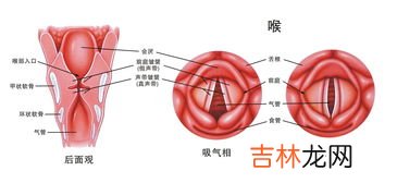 慢性咽炎可以喝金梨舒润膏吗,慢性咽炎怎么治疗？