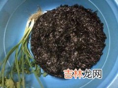 紫菜需要洗吗,做紫菜蛋花汤时，紫菜需要用水泡吗？