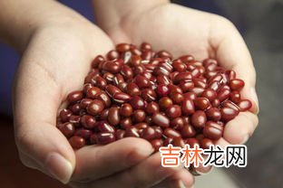 红豆有毒吗,红豆是否有毒