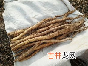 铁棍山药冻了能吃吗,冻铁棍山药能吃吗