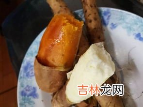 铁棍山药冻了能吃吗,冻铁棍山药能吃吗