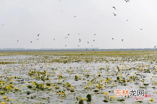 洪泽湖在哪个省哪个市,洪泽湖在哪里？