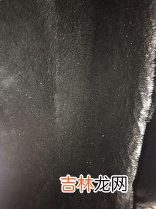 丹麦绒是什么材质,丹麦绒是什么面料