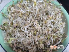 陈绿豆能生豆芽吗,陈年的绿豆还能发芽吗?