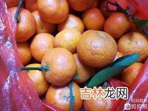 年桔的寓意及象征,年桔怎么种植