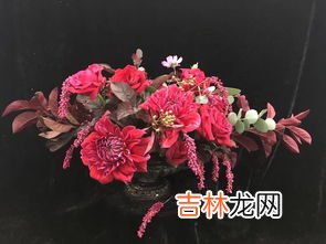 哪些鲜花适合制作成干花,哪些一、二年生花卉可以做干花?