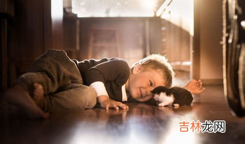 内向的人都有哪些表现,内向的人有什么特征