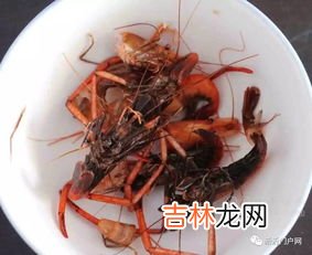 煮熟的虾隔夜能吃吗,煮熟的大虾隔夜还能吃吗